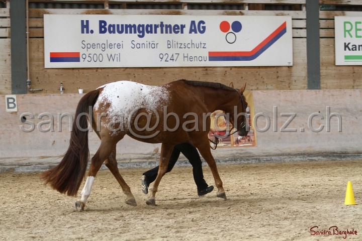 24-ApHC HIH_065.jpg
